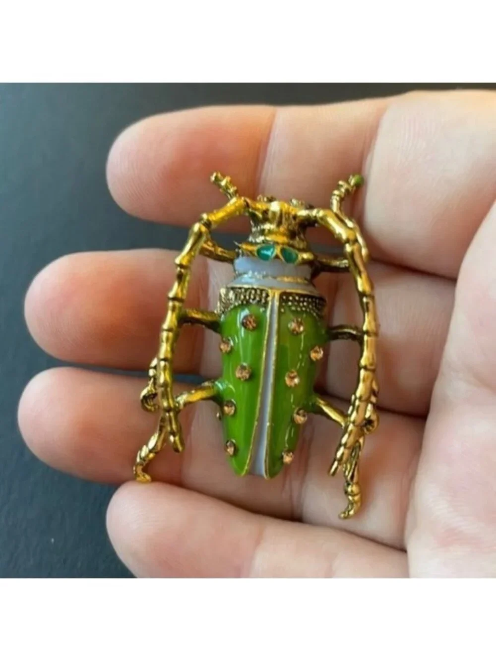 - Anthropologie beetle 🪲 brooch